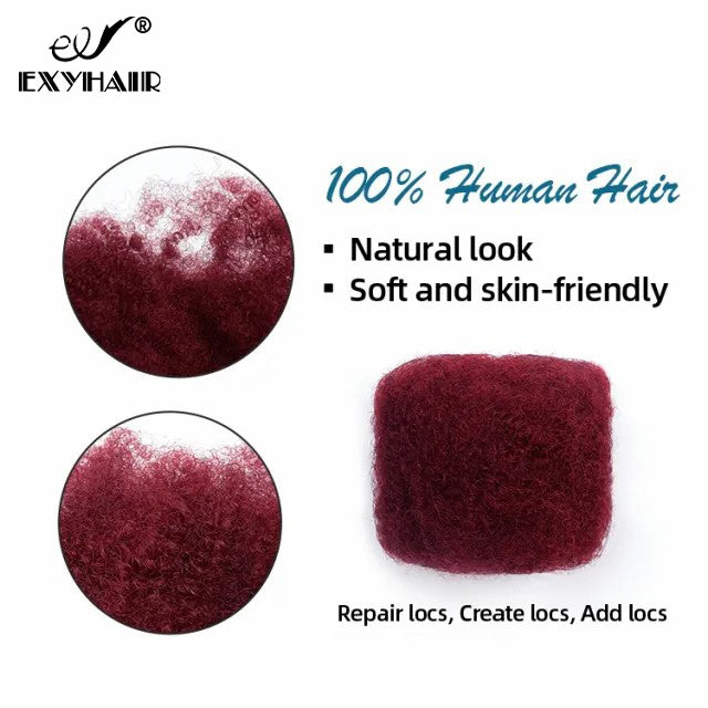Exyhair #Aubergine (burgundy) Tight Afro Kinky Bulk Human Hair for Draedlock Extensions, Repair Locs, Twists and Braids, with Crochet Hook