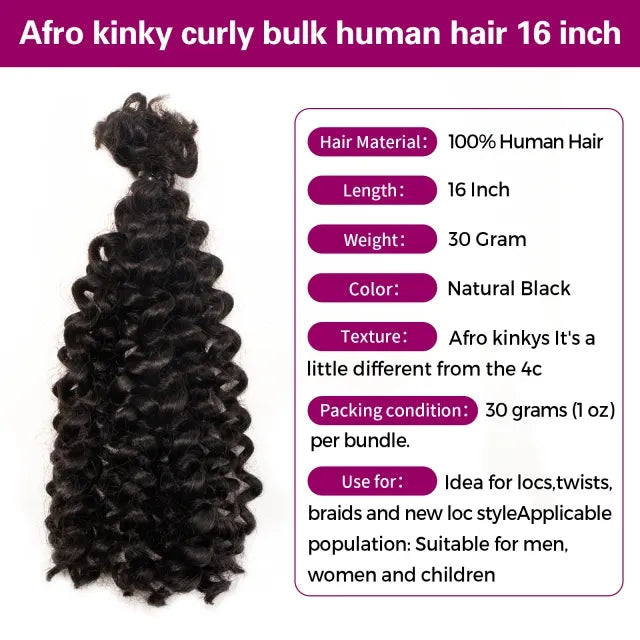 Exyhair Spring Twist Crochet 100% Human Hair Bulk Curly Texture for Faux Locs Spring Twist Hair Passion Twist Hair Butterfly Locs Crochet Hair