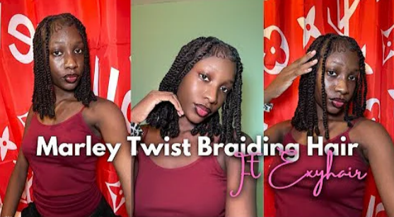 Passion Twist: A Trendsetting Protective Hairstyle