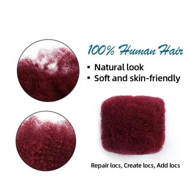 Exyhair #Aubergine (burgundy) Tight Afro Kinky Bulk Human Hair for Draedlock Extensions, Repair Locs, Twists and Braids, with Crochet Hook